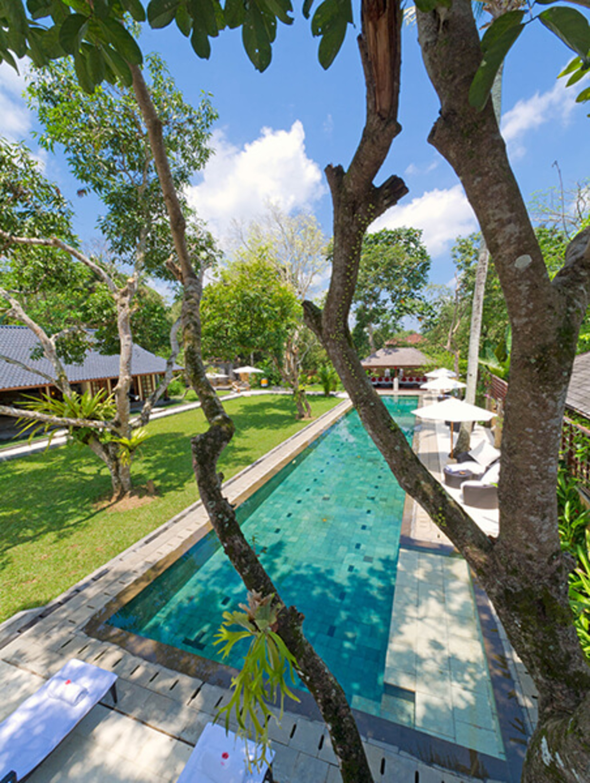Entfliehen Sie in die Bali Villa – Ubuds Premier Sanctuary 1000
