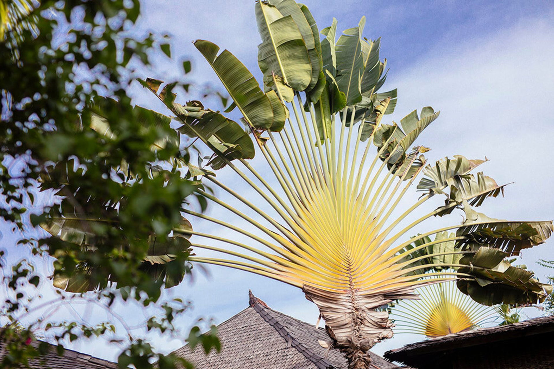 Luxus am Meer mit kulturellem Charme – Bali Villa 1054