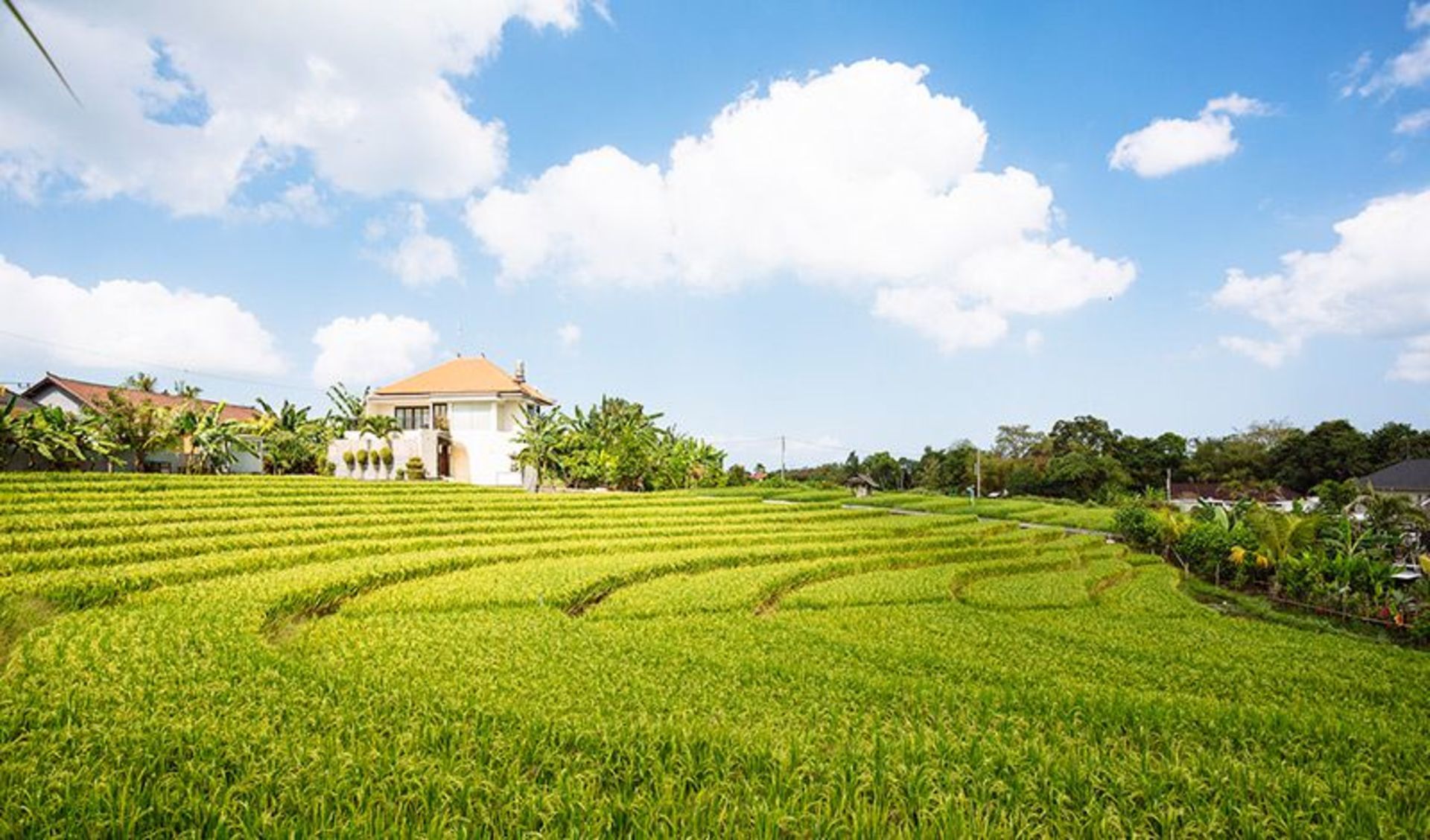 Eleganter tropischer Zufluchtsort – Bali Villa 1063
