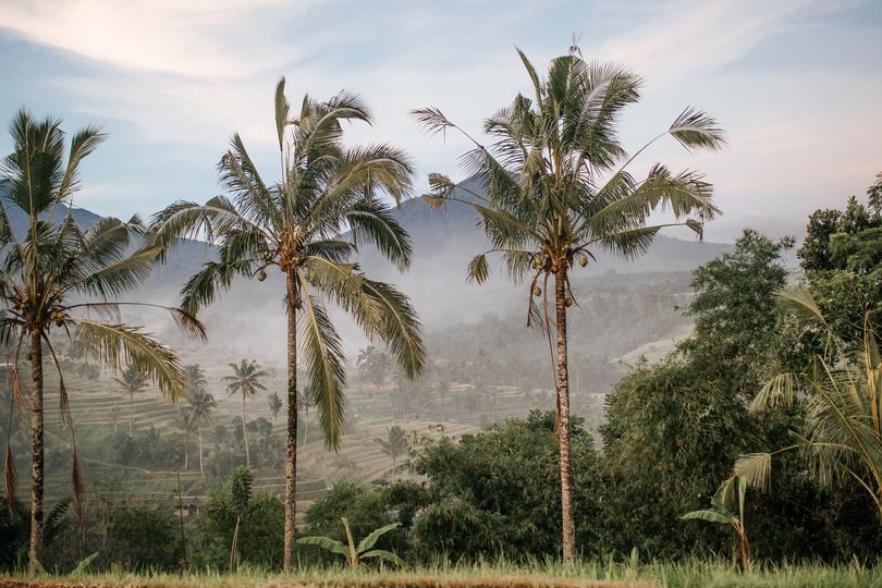 Abgeschiedene Eleganz mit Meerblick – Bali Villa 1090
