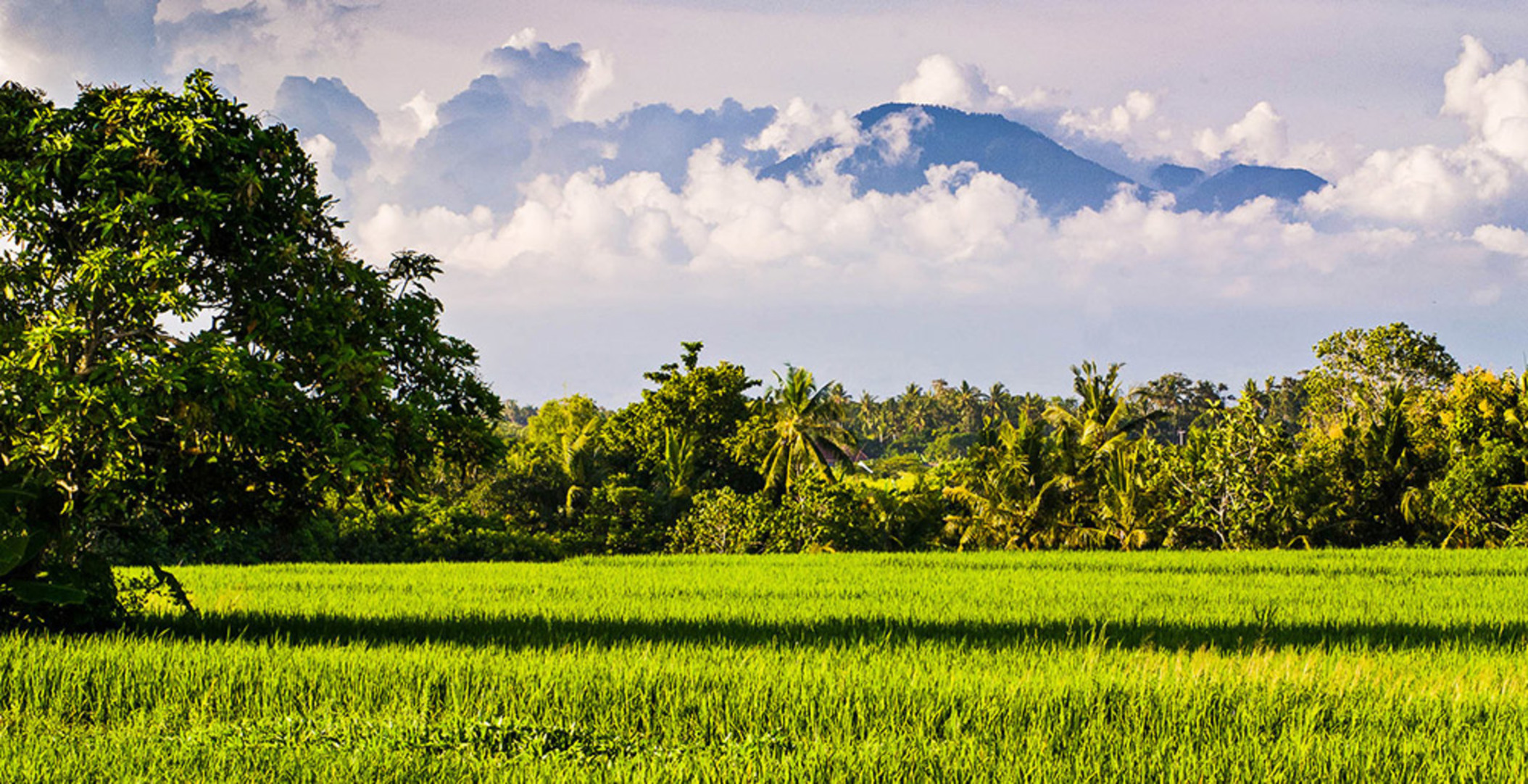Üppige Gärten mit Meerblick - Bali Villa 1116