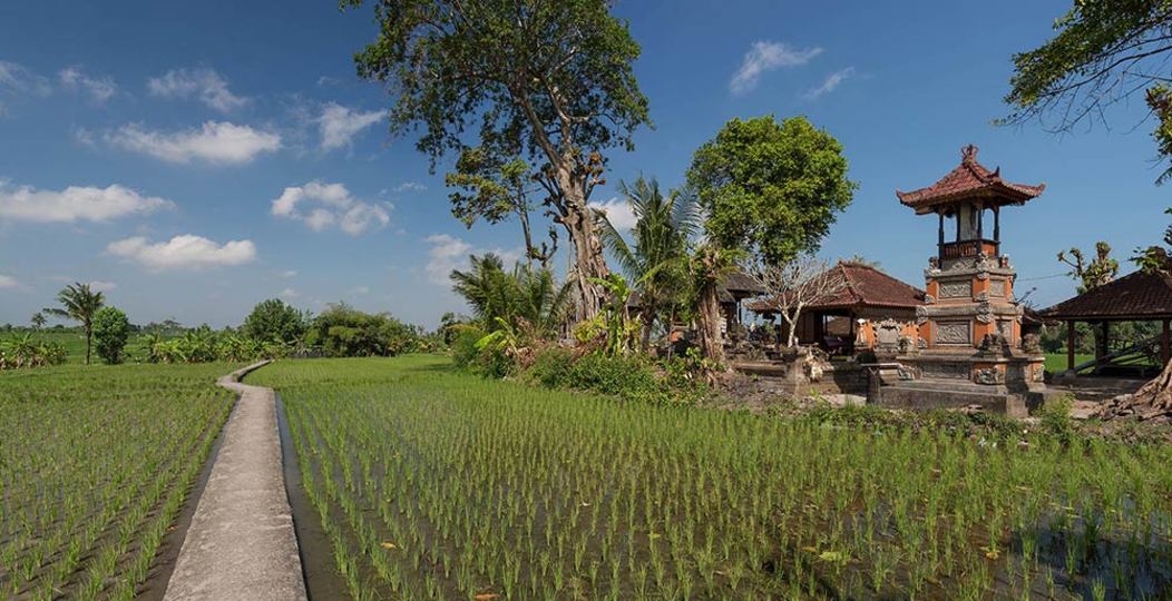 Mieten Sie eine Luxusvilla auf Bali in Strandnähe, Bali Villa 1130