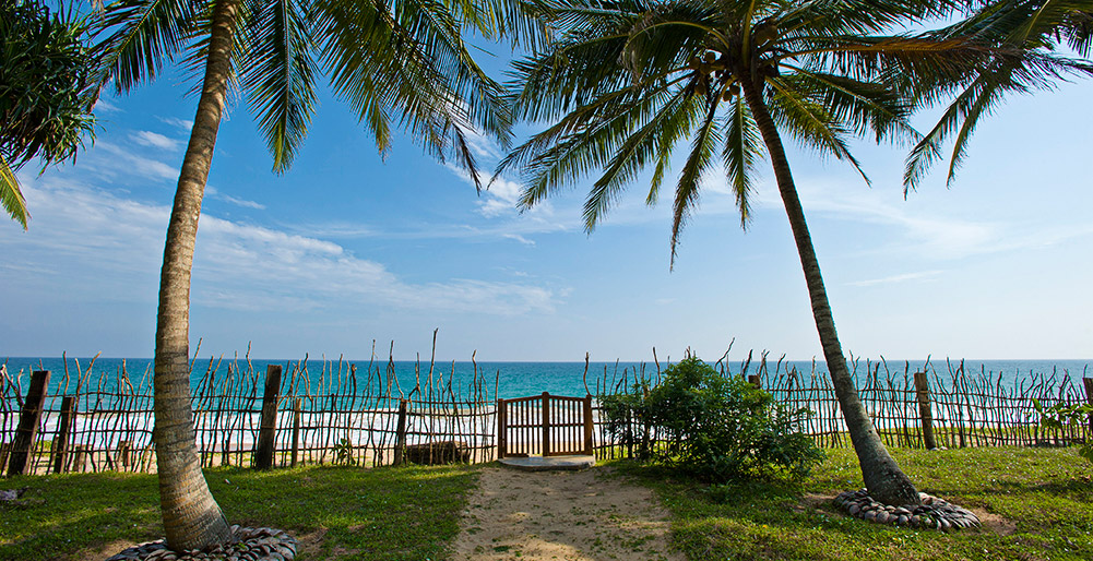 Erleben Sie einen Luxusurlaub in Sri Lanka während Ihres Aufenthalts in dieser wunderschönen Villa, Ocean’s Edge Villa