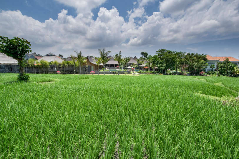 Genießen Sie den Urlaub Ihres Lebens und mieten Sie Ihre eigene 5-Sterne-Privatvilla zum besten Preis in Kerobokan, Villa Bali 2008