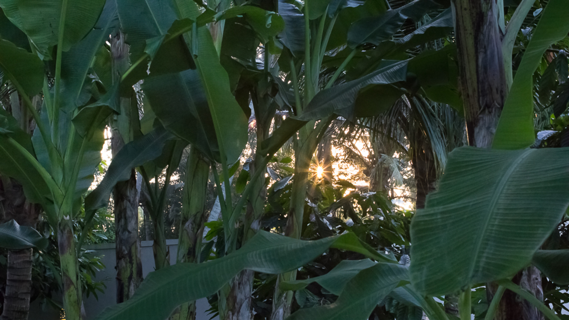 Wunderschöne 5-Sterne-Ferienvilla in erstklassiger Lage in Ubud. Buchen Sie frühzeitig, um Ihre Daten zu sichern, Villa Bali 2036