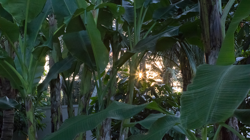 Wunderschöne 5-Sterne-Ferienvilla in erstklassiger Lage in Ubud. Buchen Sie frühzeitig, um Ihre Daten zu sichern, Villa Bali 2036