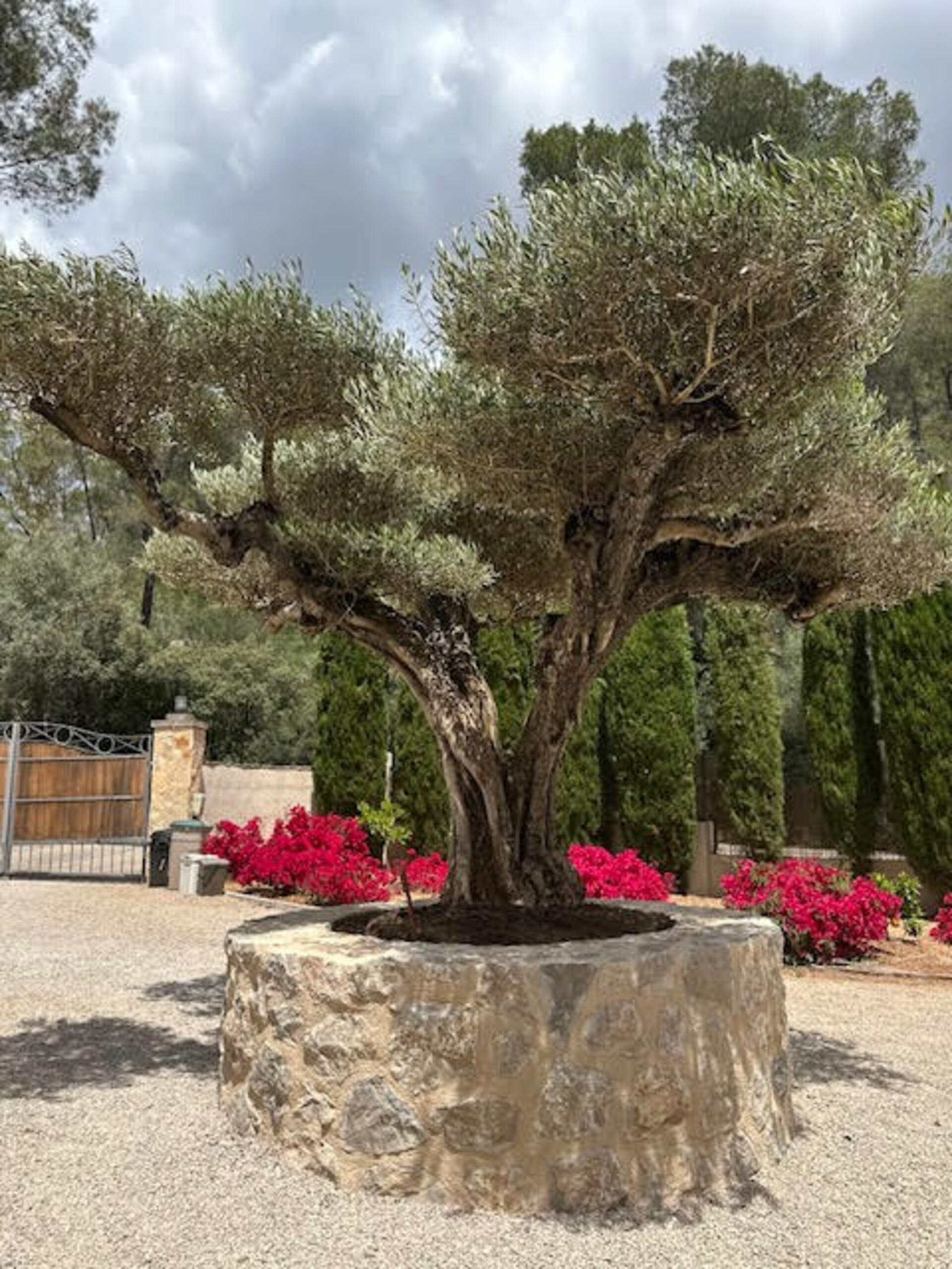 Your Island Escape, Mallorca Villa 1691