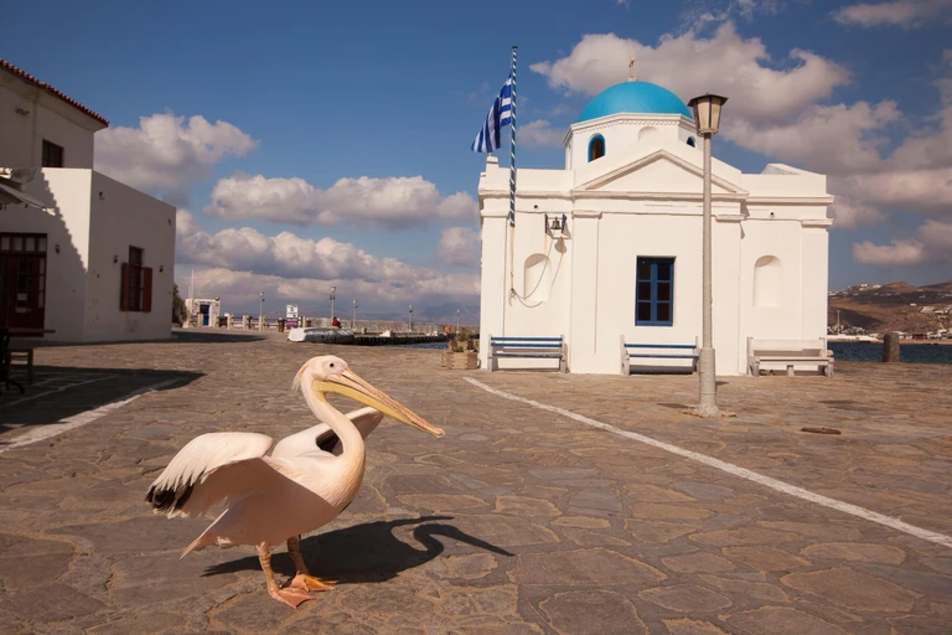 Mieten Sie Ihre luxuriöse Villa mit 5 Schlafzimmern, Mykonos Villa 1001