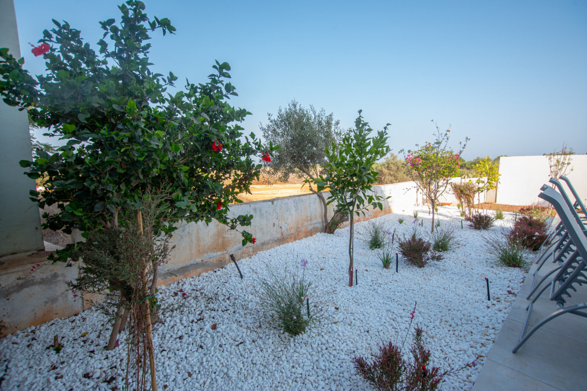 Ihre 5-Sterne-Strandvilla in Famagusta Villa 1024
