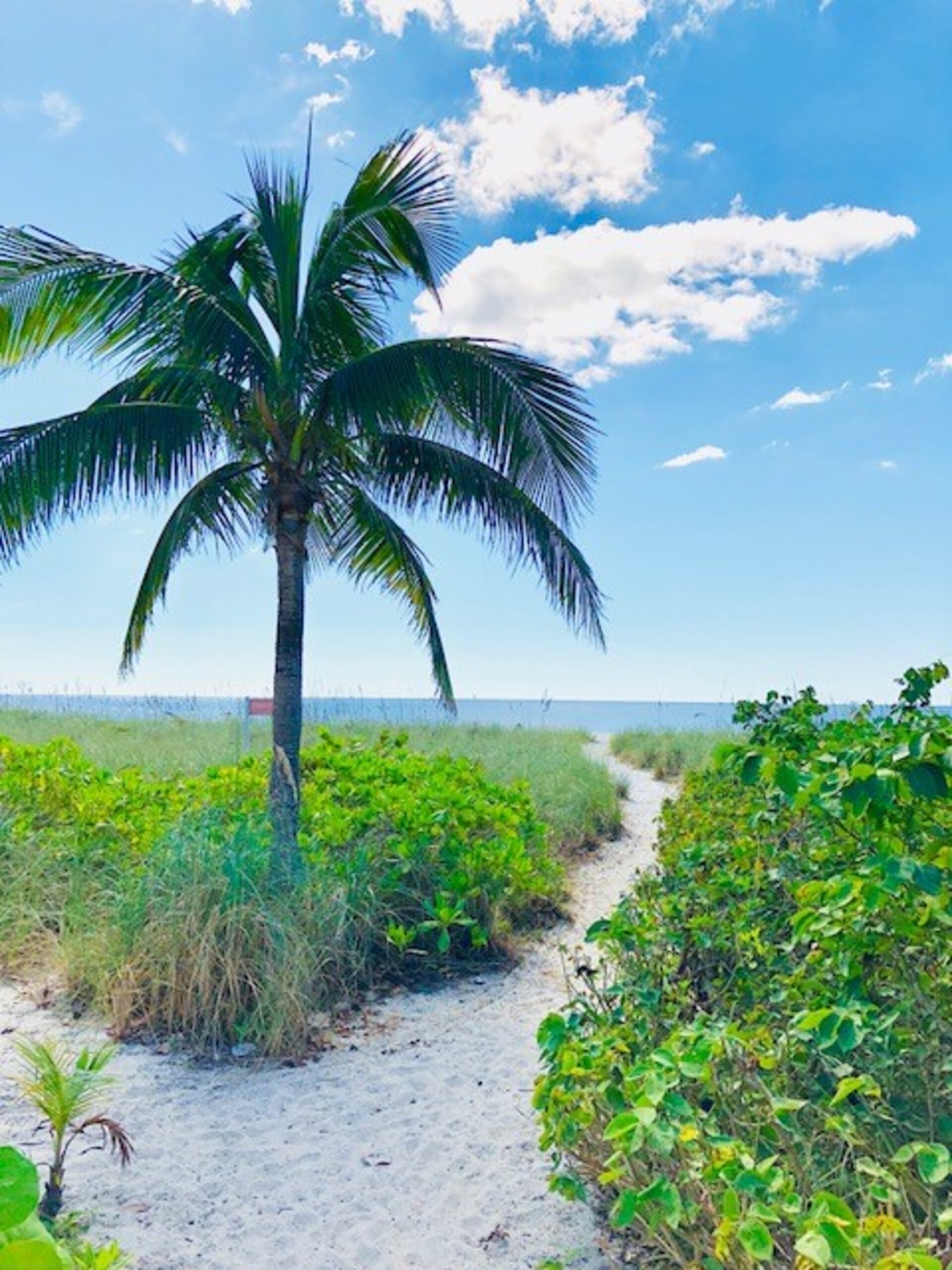 5-Sterne-Eigentumswohnung in einer der prestigeträchtigsten Gegenden in Sandy Bottoms Vacation, Florida, Eigentumswohnung 5965