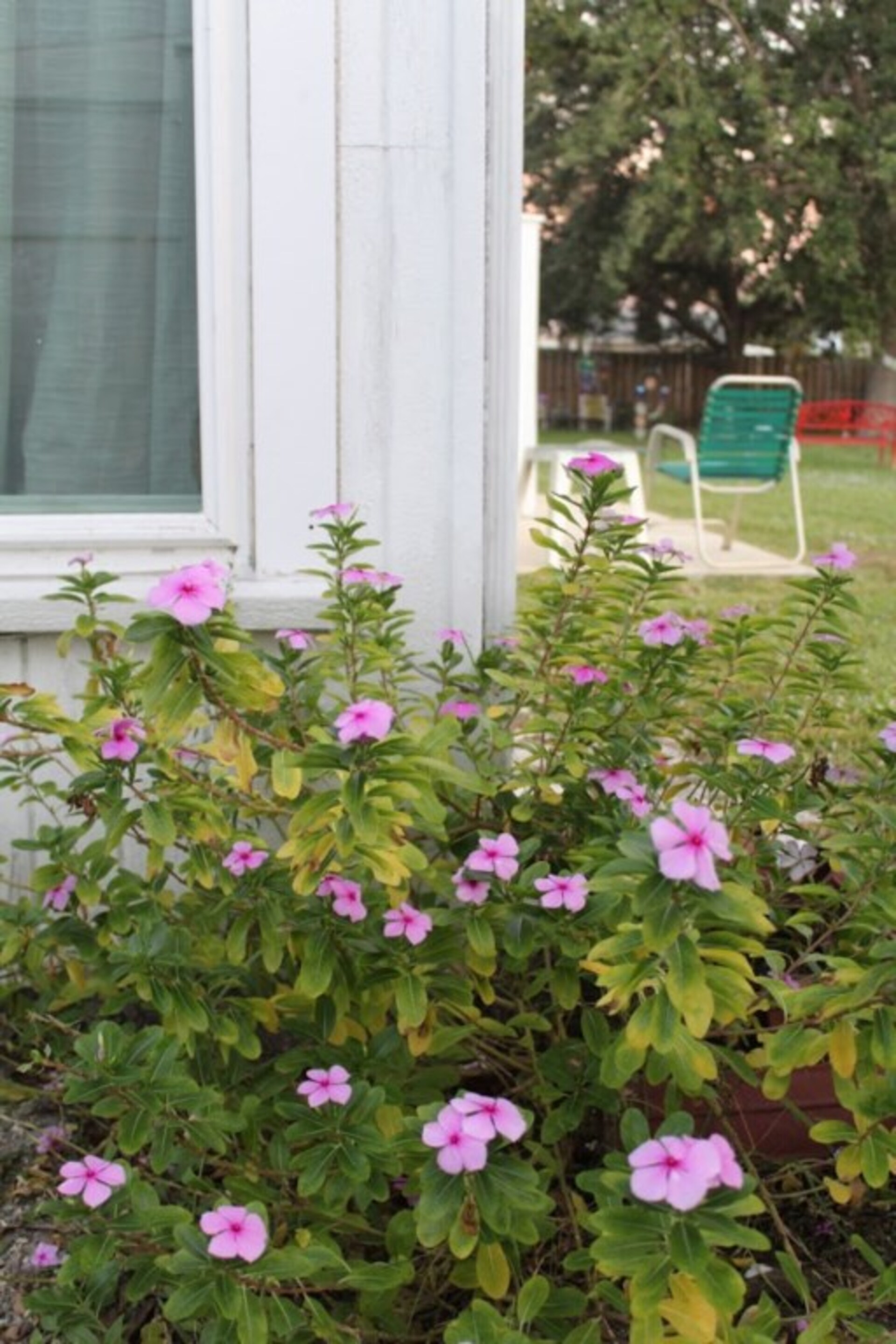 Exklusives Cottage in einem der renommiertesten Resorts, Collier County, Florida Cottage 4062