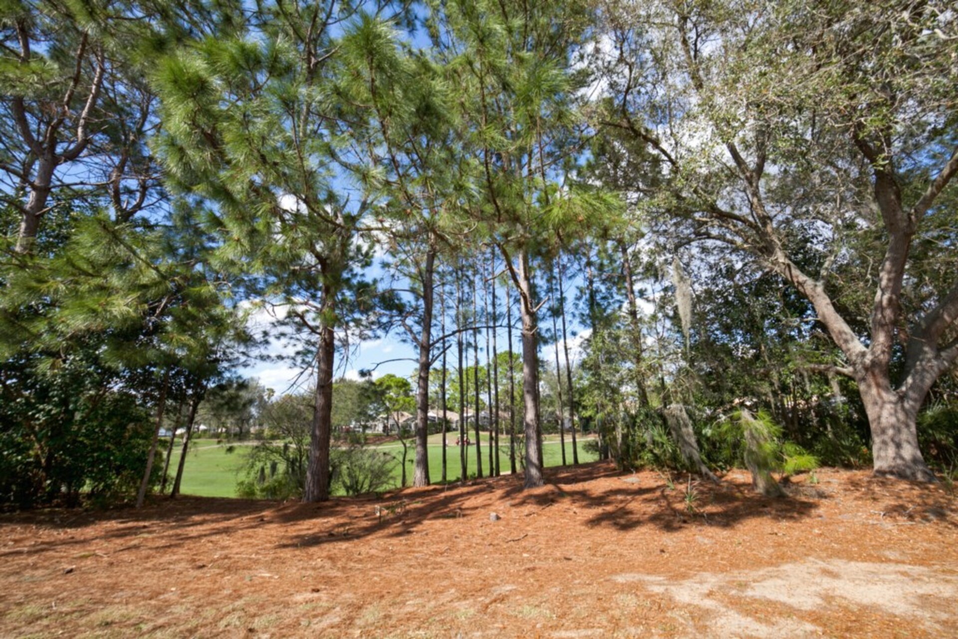Luxusvilla mit fantastischem Privatpool in The Abbey at West Haven, Florida Villa 6087
