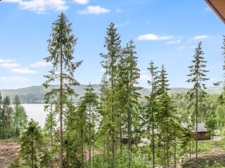 Ihr perfekter Kurzurlaub, Lieksa 1047