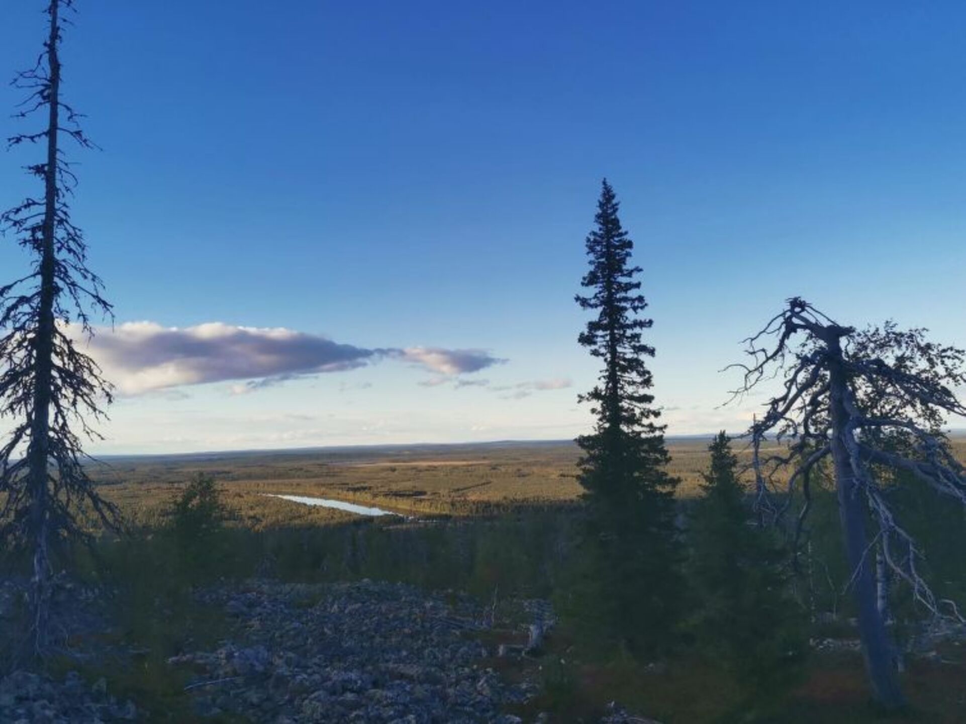 Lapplands geheime 1BR-Oase, 1278