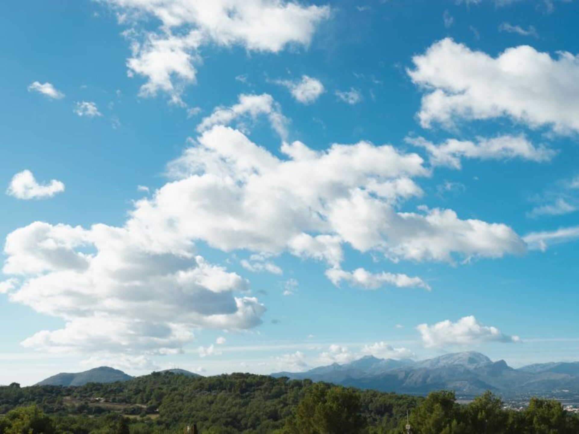 Tranquil Oasis in the Heart of Mallorca,1611