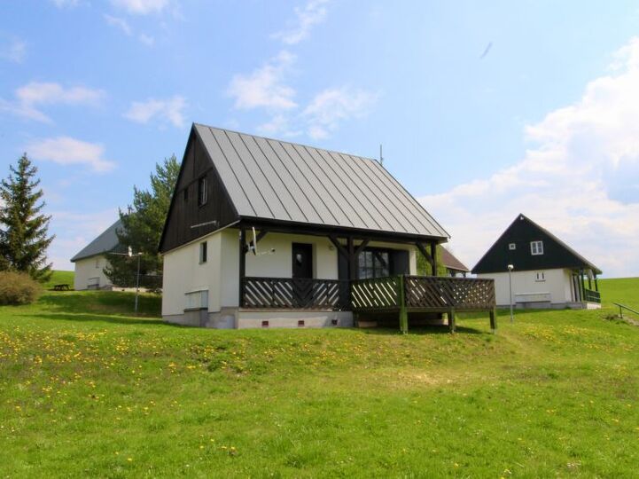 Moderne 3-Bett-Villa mit üppigen Gärten, 1008, Královéhradecký kraj, Czech Republic
