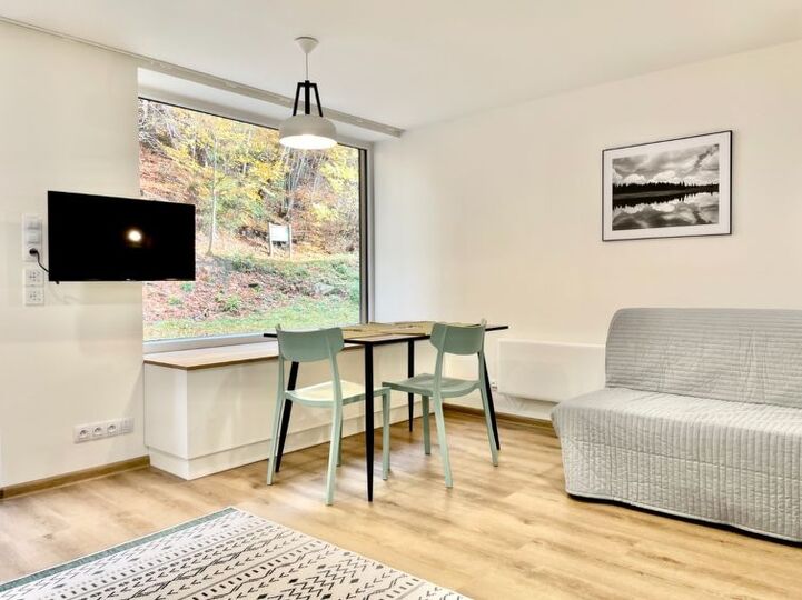 Charmante 1-Zimmer-Villa mit atemberaubender Aussicht, 1001, Karlovarský kraj, Czech Republic