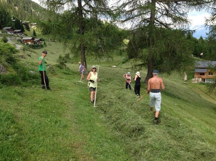 Friedliche Bergoase im Wallis, 1362