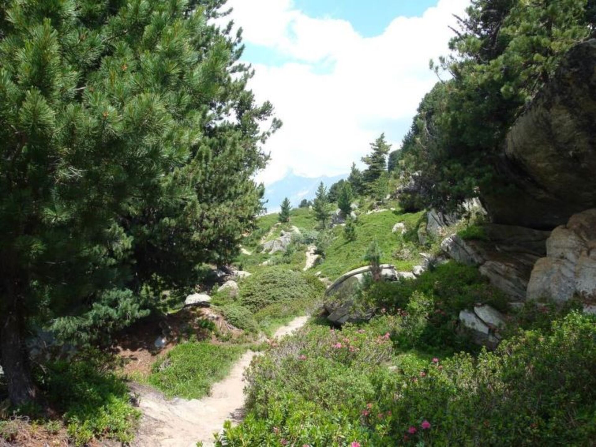 Friedliche Bergoase im Wallis, 1362