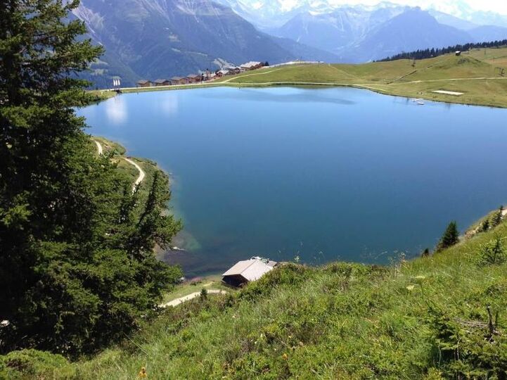 Friedliche Bergoase im Wallis, 1362