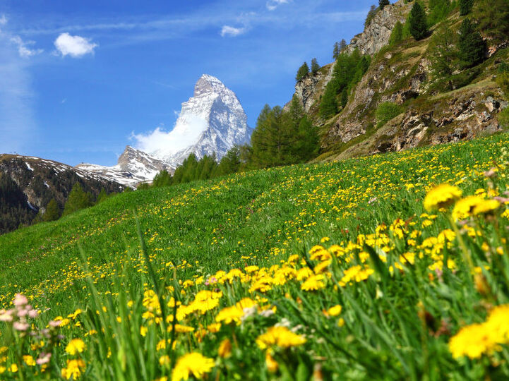 Ruhiger Alpen-Rückzugsort im Wallis, 1369