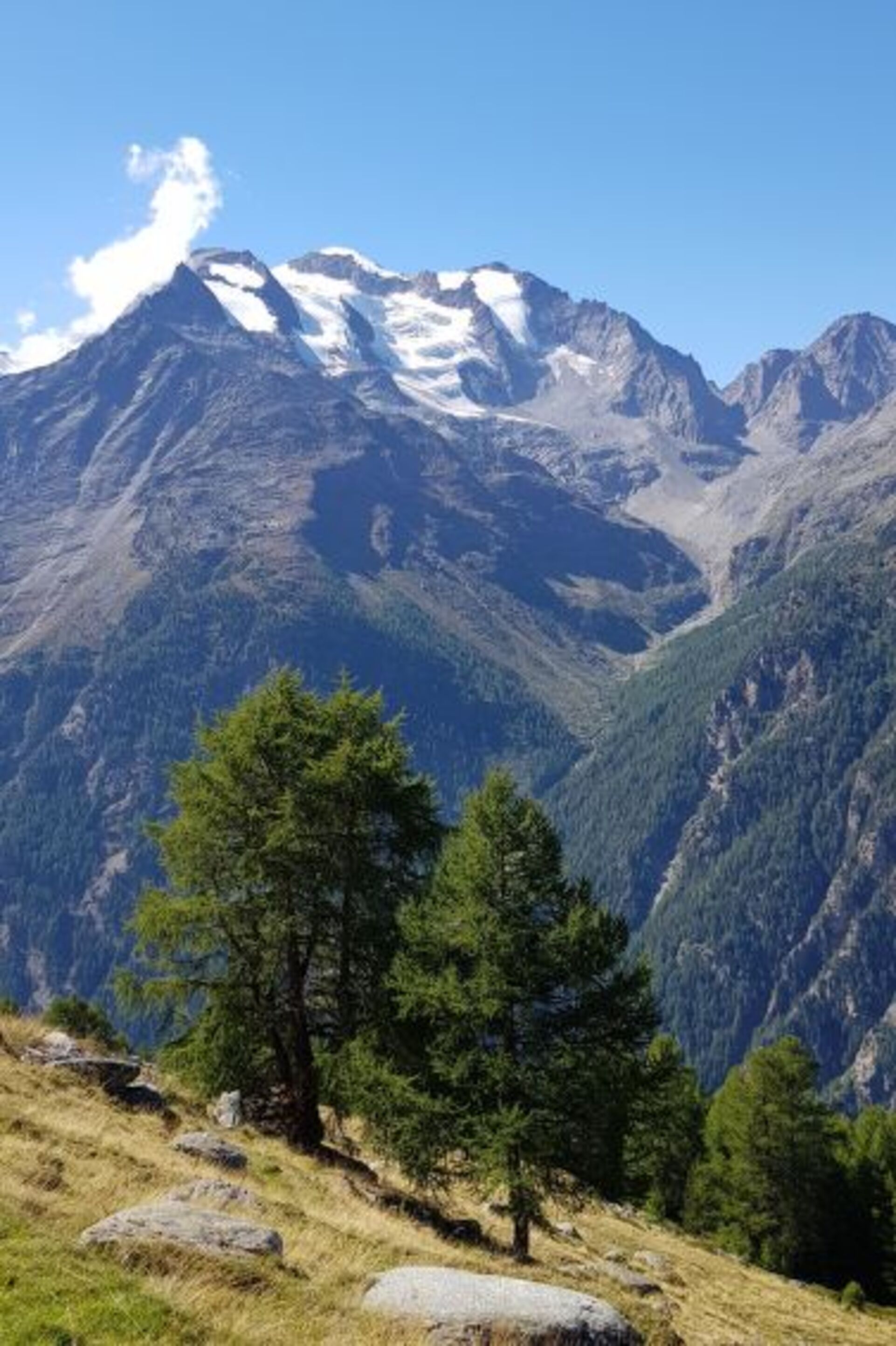 Ruhige Oase mit 3 Schlafzimmern in Saas-Grund, 1414