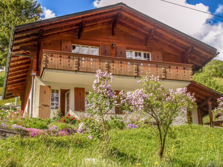 Gemütliche Bergvilla in Grindelwald City, 1173, Grindelwald, Switzerland