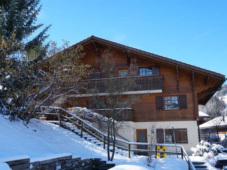 Elegante Villa mit 2 Schlafzimmern in Zweisimmen, 1195