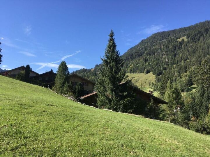 Elegante Villa mit 2 Schlafzimmern in Zweisimmen, 1195