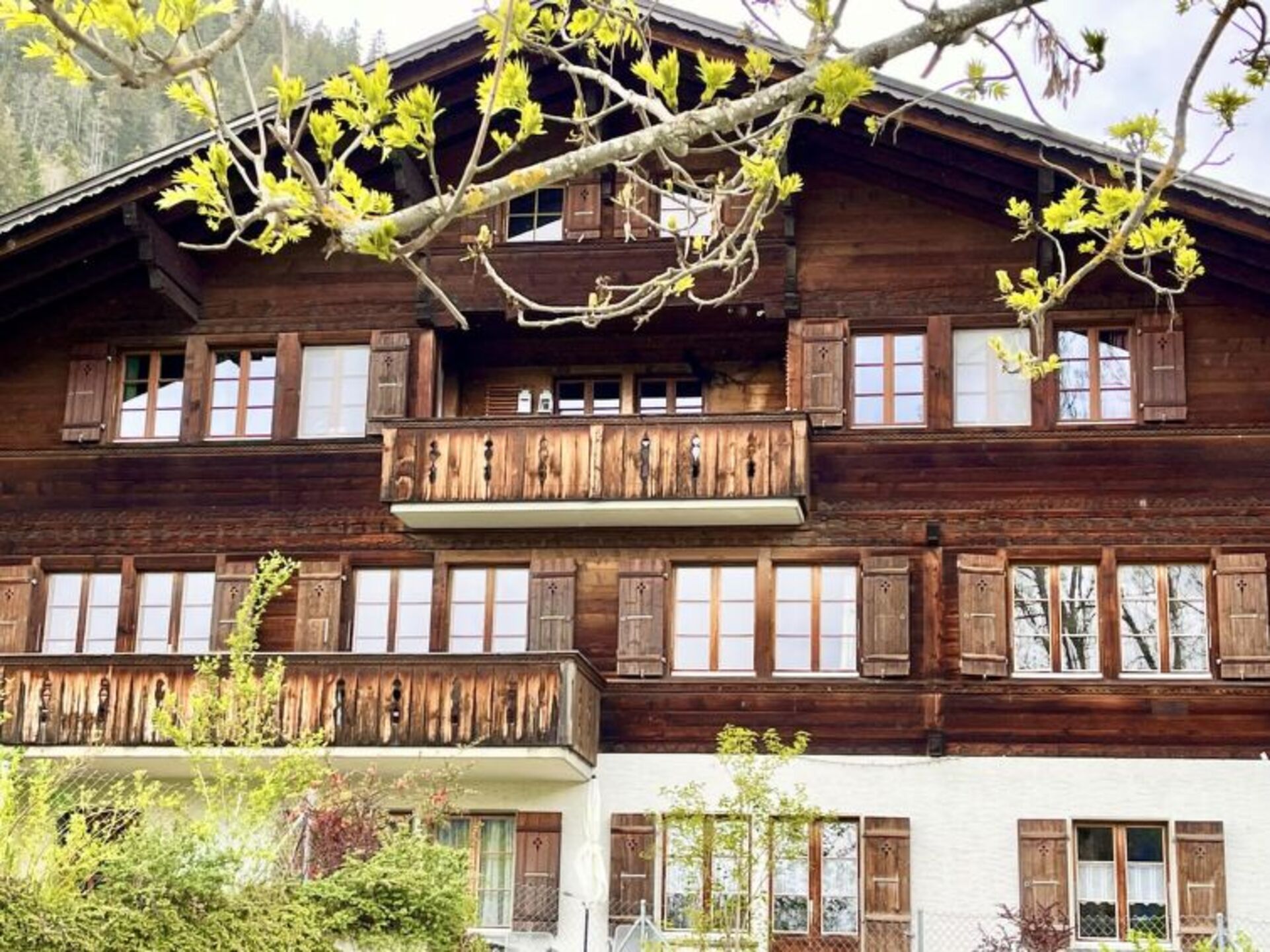 Private Oase in Zweisimmen 1196