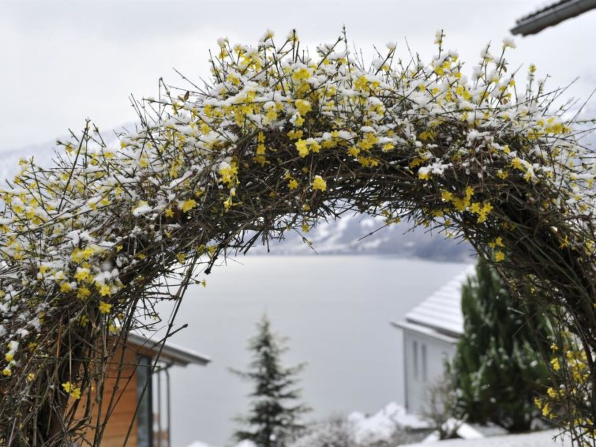 Spiez Traumhaus: Villa mit 5 Schlafzimmern und Pool, 1199