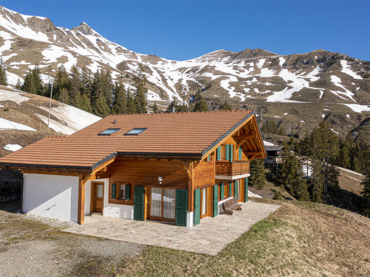Rustikales Chalet im Chic-Stil in Les Crosets, 1284, Les Crosets, Switzerland