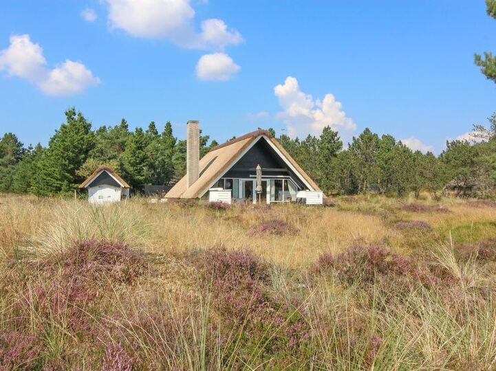 Luxusimmobilie, idyllische Lage, Blåvand 1059, Blåvand, Denmark