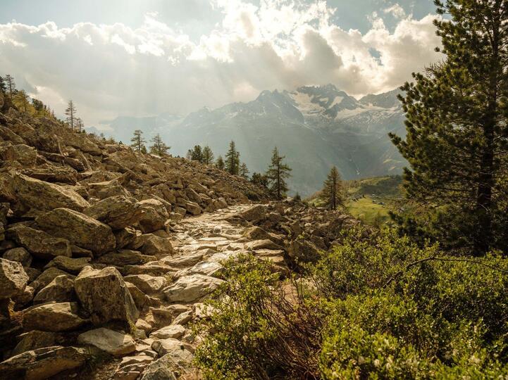 Matterhornblick und alpine Eleganz, Luxus-Walliser-Chalet 1407
