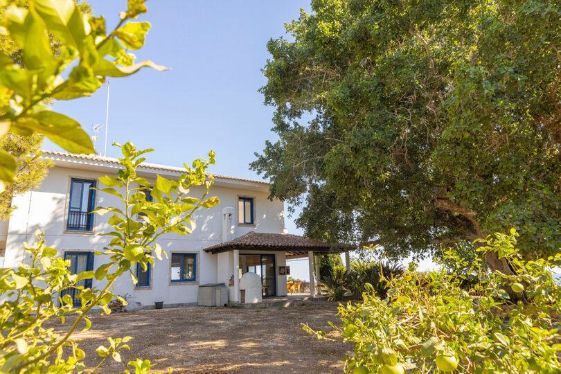 Moderne 4-Schlafzimmer-Villa Oasis in Ayia Napa, 1396