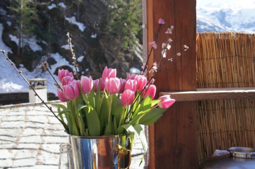 Luxuriöses Alpen-Refugium, Matterhorn Chalet 1012