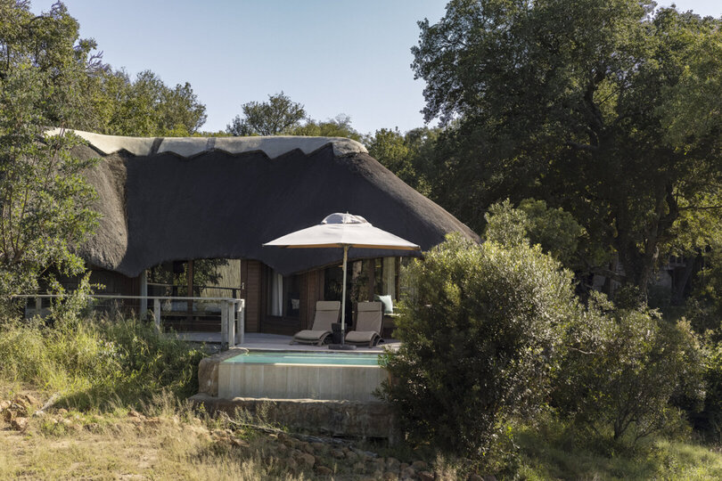 Elevated Treehouse Retreat with Bush Views 1056