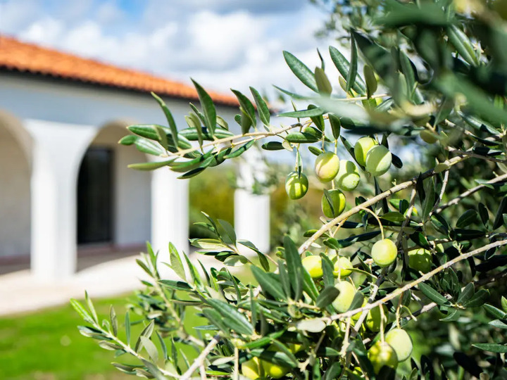 Ruhige Oase: Villa 1262 mit 3 Schlafzimmern