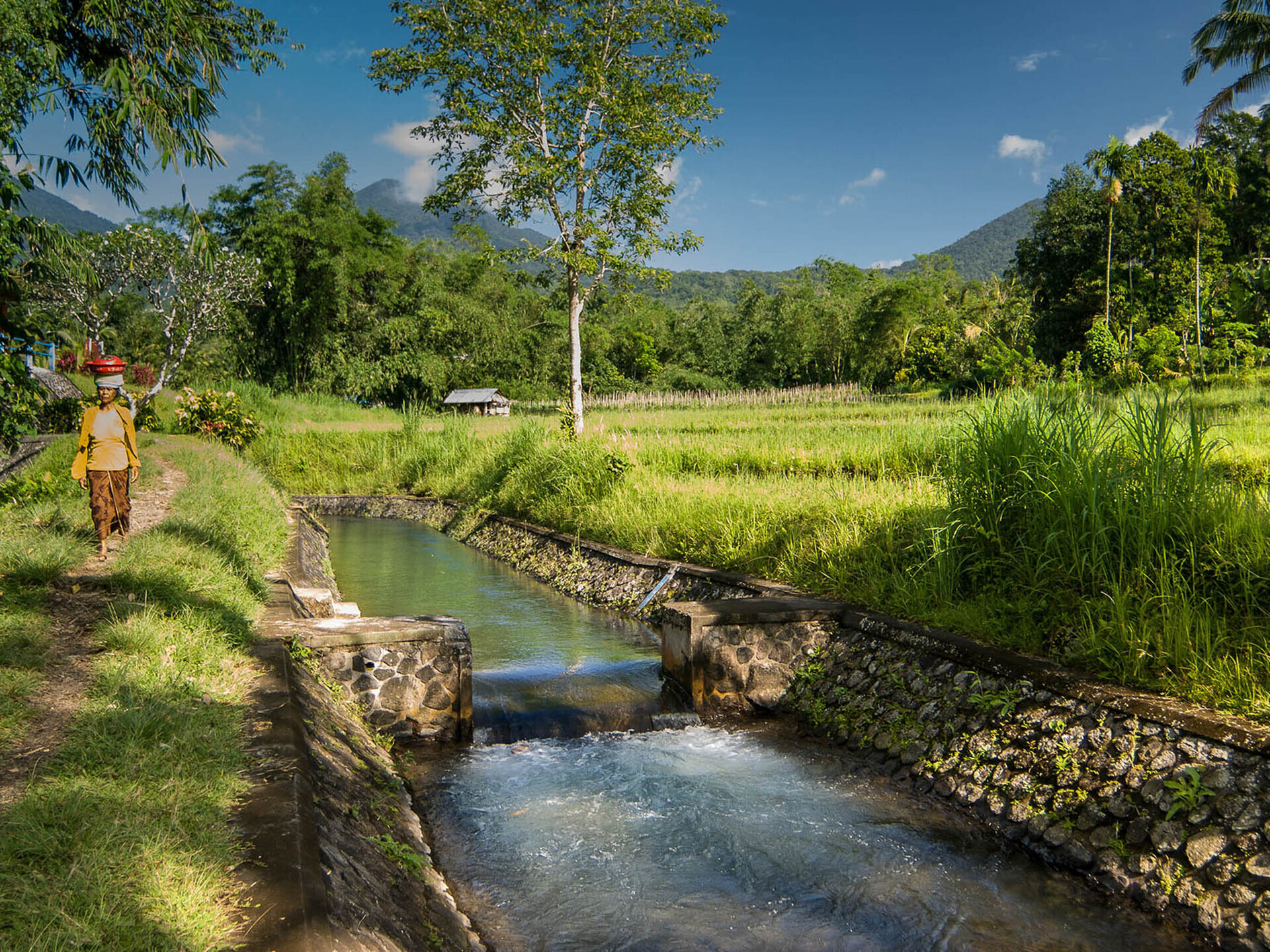 Seseh Beach Villas - Take a walk down the river