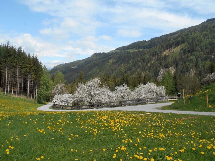 2-Bed House with Mountain View in Murau, Sleeps 4, 1110