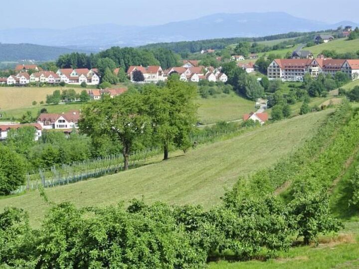 Elegant 1-Bed House in Hartberg-Furstenfeld, Sleeps 3, 1119