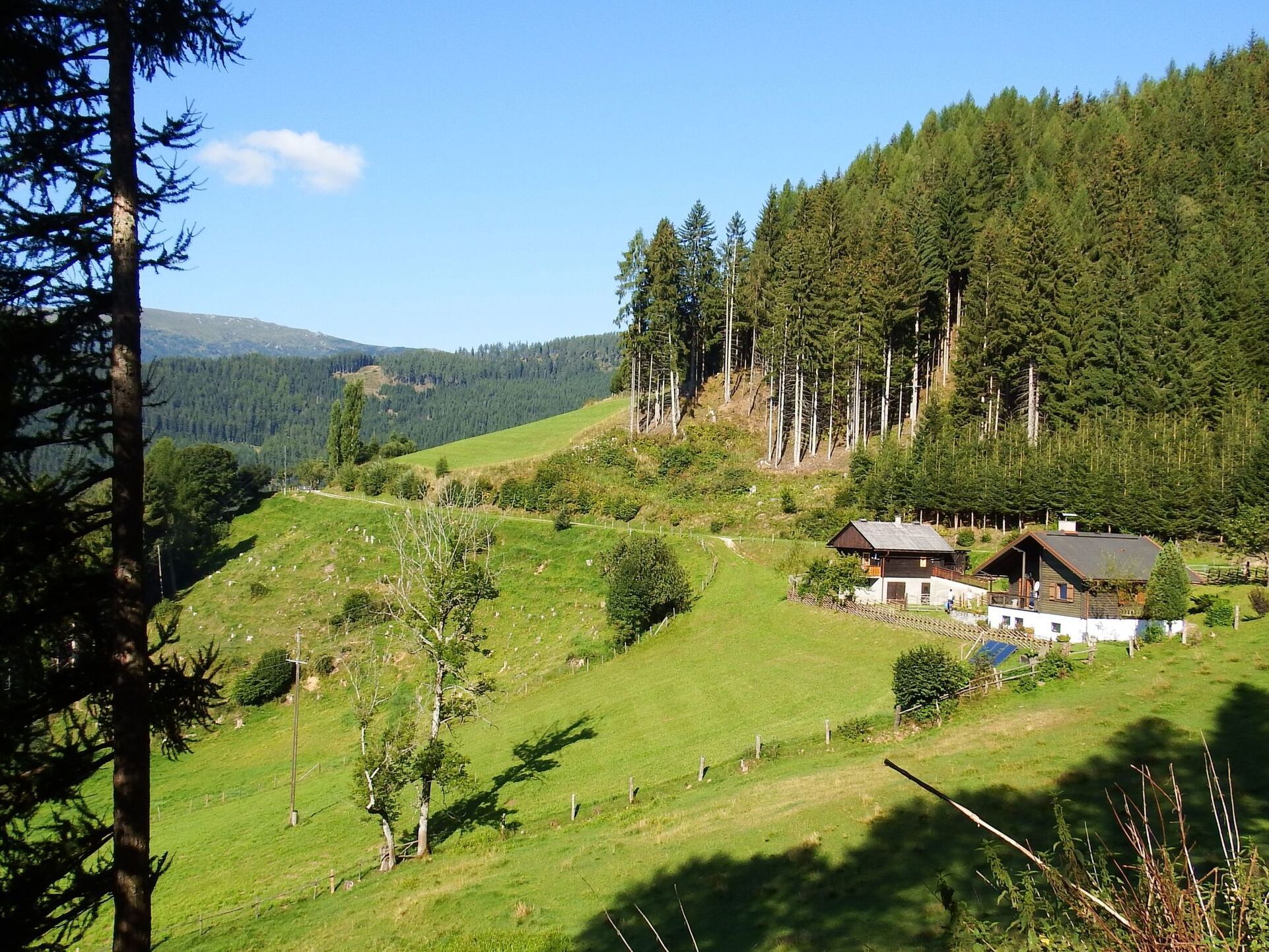 Tranquil 3-Bed House in Wolfsberg, Sleeps 4, 1106