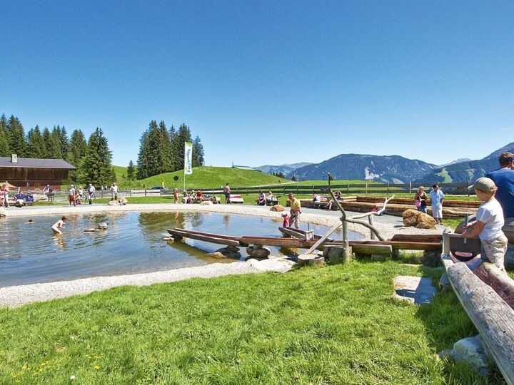 Stilvolle 4-Zimmer-Wohnung in Kitzbühel, für 8 Personen, 1319