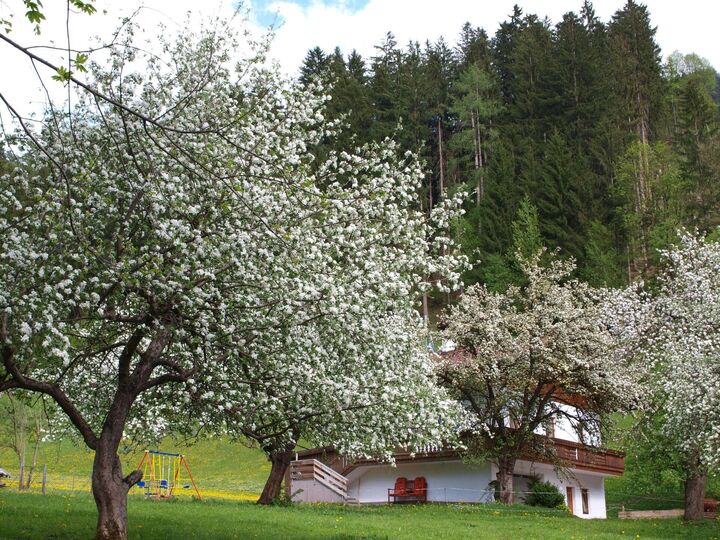 Ferienhaus mit 3 Schlafzimmern und Bergblick in Schwaz, 7 Schlafplätze, 1326