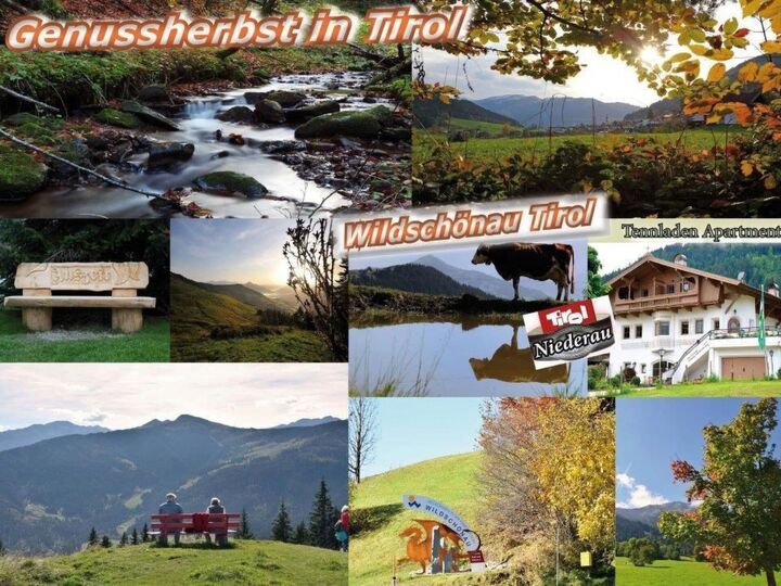 Charmante 2-Zimmer-Wohnung in Kitzbühel, für 6 Personen, 1338
