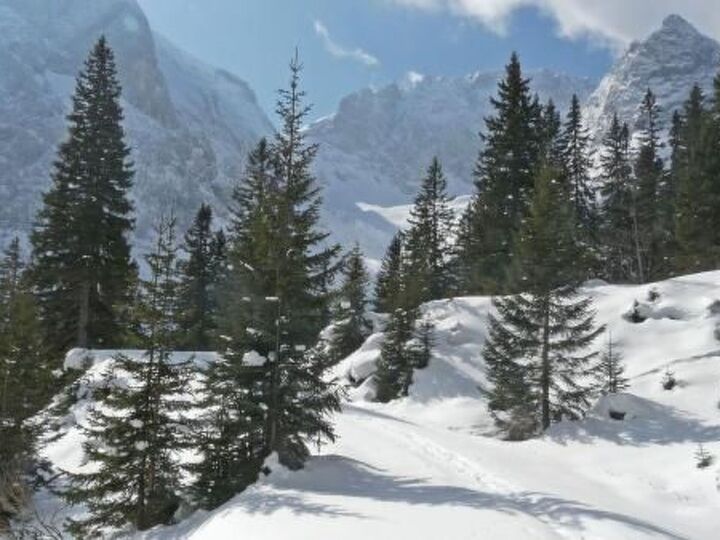 Luxuriöse 2-Zimmer-Wohnung in Innsbruck-Land, für 4 Personen, 1346