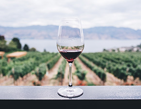 Queenstown - Weintour